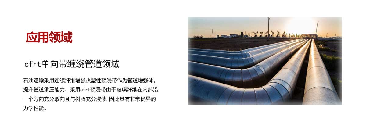 石油管(guan)道領域(yu)